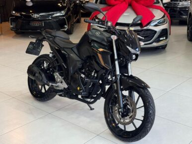 YAMAHA FZ25 FAZER 2024 - Ampére Multimarcas - Veículos usados e semi novos à venda em Curitiba/PR